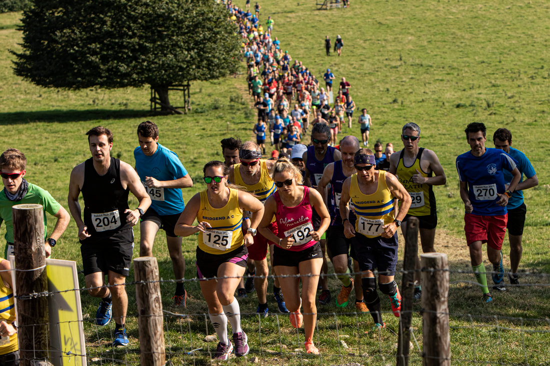 Rabbit Run Wales